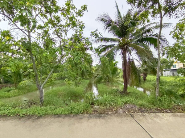 ขาย ที่ดินถมแล้ว 1-0-40ไร่ ซ.อนามัยงามเจริญ33แยก1-2 (ซอยซุ้มกอไผ่) บางขุนเทียน กรุงเทพฯ