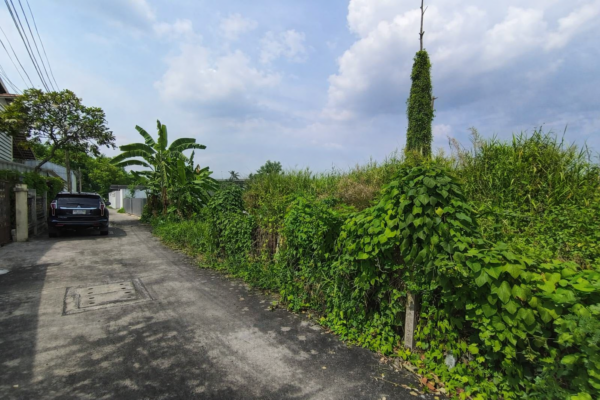 ขาย ที่ดินตลิ่งชัน ใกล้ ถ.บรมราชชนนี (200ตร.ว.) ซอย ฉิมพลี8 ต.ฉิมพลี อ.ตลิ่งชัน จ.กรุงเทพฯ