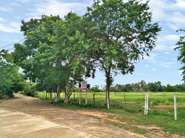 ขายที่ดินถมแล้ว 5 แปลง อ.เมืองเพชรบุรี จ.เพชรบุรี (เนื้อที่ 6-3-83 ไร่)