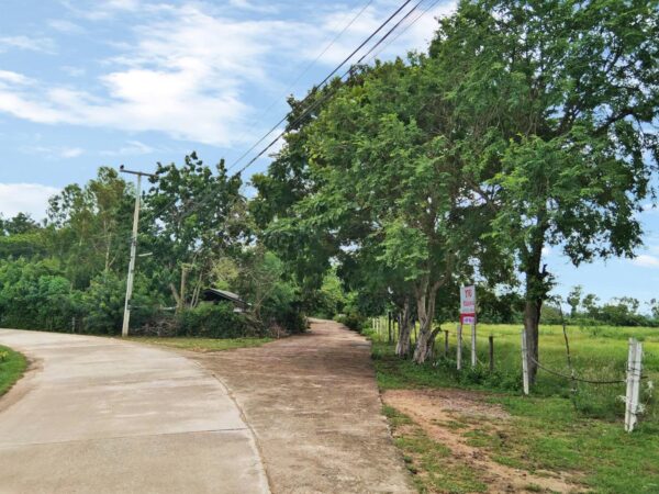 ขายที่ดินถมแล้ว 5 แปลง อ.เมืองเพชรบุรี จ.เพชรบุรี (เนื้อที่ 6-3-83 ไร่)