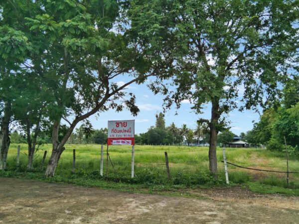 ขายที่ดินถมแล้ว 5 แปลง อ.เมืองเพชรบุรี จ.เพชรบุรี (เนื้อที่ 6-3-83 ไร่)