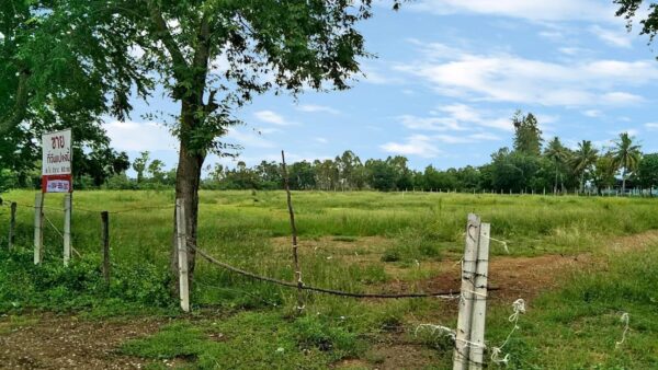 ขายที่ดินถมแล้ว 5 แปลง อ.เมืองเพชรบุรี จ.เพชรบุรี (เนื้อที่ 6-3-83 ไร่)