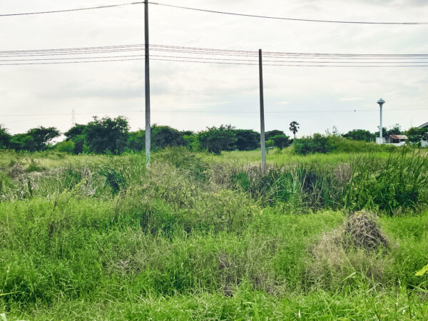 ขาย ที่ดิน ติดถนนสายเอเซีย อ.บางปะหัน จ.อยุธยา ทำเลดีมาก!! (เนื้อที่ 20-1-1 ไร่)