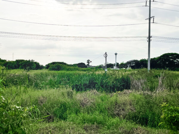 ขาย ที่ดิน ติดถนนสายเอเซีย อ.บางปะหัน จ.อยุธยา ทำเลดีมาก!! (เนื้อที่ 20-1-1 ไร่)