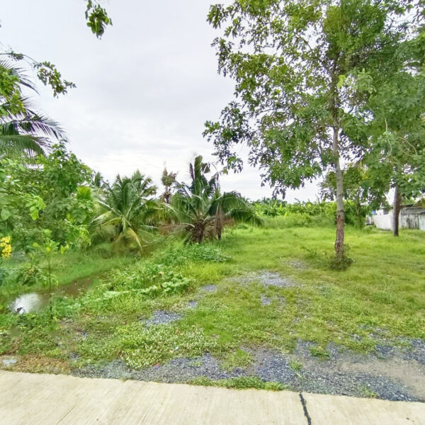 ขาย ที่ดินถมแล้ว 1-0-40ไร่ ซ.อนามัยงามเจริญ33แยก1-2 (ซอยซุ้มกอไผ่) บางขุนเทียน กรุงเทพฯ