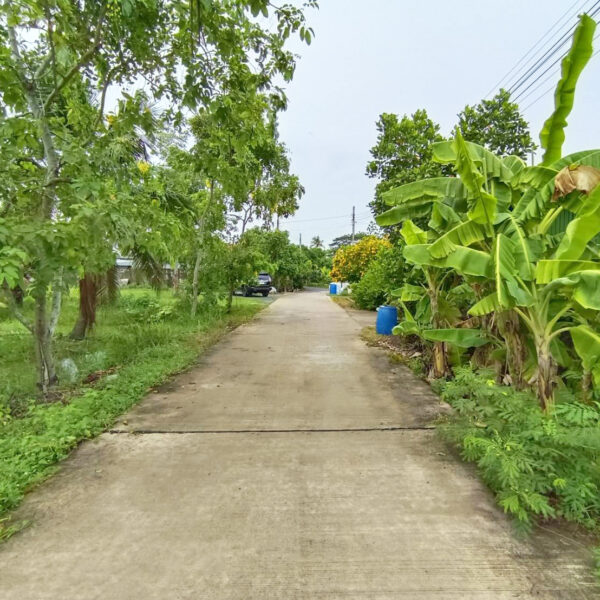 ขาย ที่ดินถมแล้ว 1-0-40ไร่ ซ.อนามัยงามเจริญ33แยก1-2 (ซอยซุ้มกอไผ่) บางขุนเทียน กรุงเทพฯ