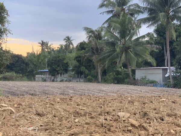 ขายที่ดินติดถนนสายห้วยคู ซอย 6 เนื้อที่5-3-25ไร่ ต.ตะเคียนเตี้ย อ.บางละมุง จ.ชลบุรี ไร่ละ3.5ล้าน