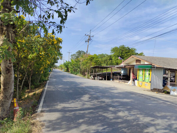 ขายที่ดินติดถนน เนื้อที่ 975 ตร.ว. (2ไร่ครึ่ง) อ.บางไทร จ.อยุธยา