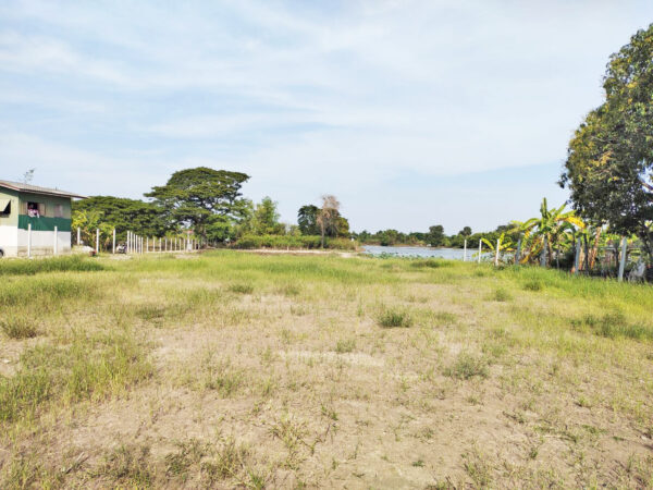 ขายที่ดินติดถนน เนื้อที่ 975 ตร.ว. (2ไร่ครึ่ง) อ.บางไทร จ.อยุธยา