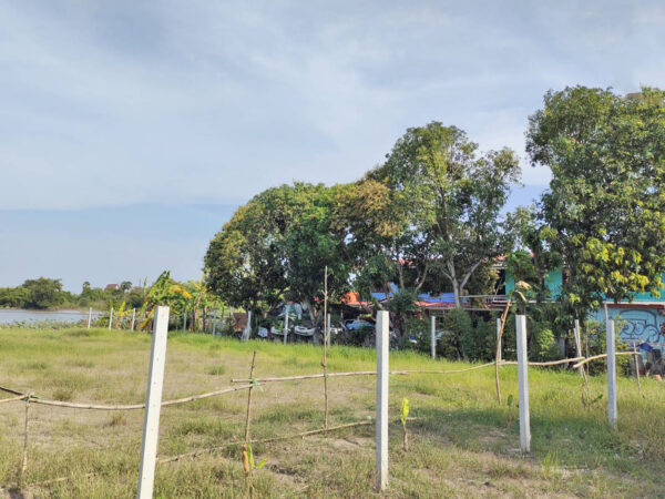 ขายที่ดินติดถนน เนื้อที่ 975 ตร.ว. (2ไร่ครึ่ง) อ.บางไทร จ.อยุธยา