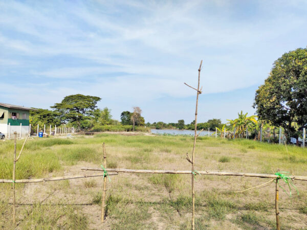 ขายที่ดินติดถนน เนื้อที่ 975 ตร.ว. (2ไร่ครึ่ง) อ.บางไทร จ.อยุธยา