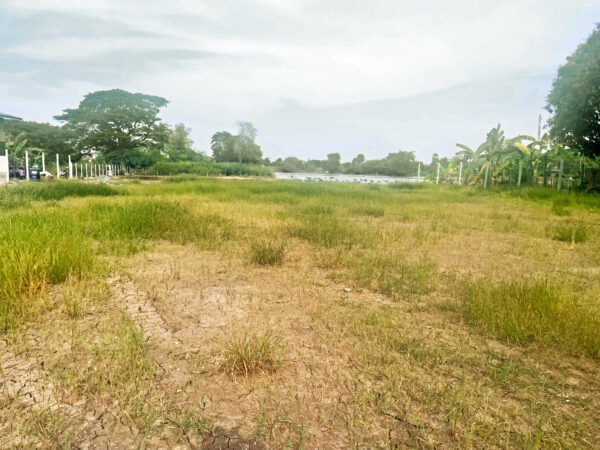 ขายที่ดินติดถนน เนื้อที่ 975 ตร.ว. (2ไร่ครึ่ง) อ.บางไทร จ.อยุธยา