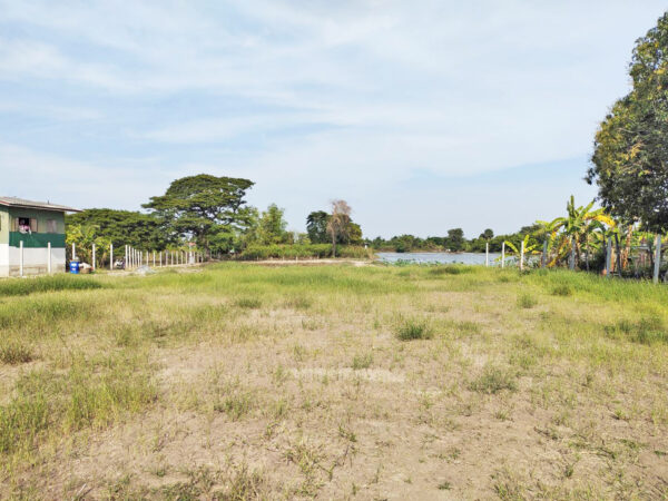 ขายที่ดินติดถนน เนื้อที่ 975 ตร.ว. (2ไร่ครึ่ง) อ.บางไทร จ.อยุธยา