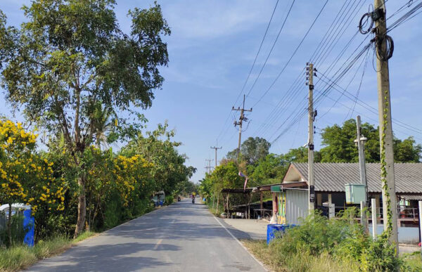 ขายที่ดินติดถนน เนื้อที่ 975 ตร.ว. (2ไร่ครึ่ง) อ.บางไทร จ.อยุธยา