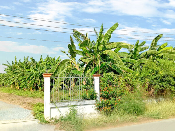 ขายที่ดินเปล่า 142 ตร.ว. กำแพงแสน นครปฐม (ใกล้ ม.เกษตร) ราคาไม่เกินล้าน