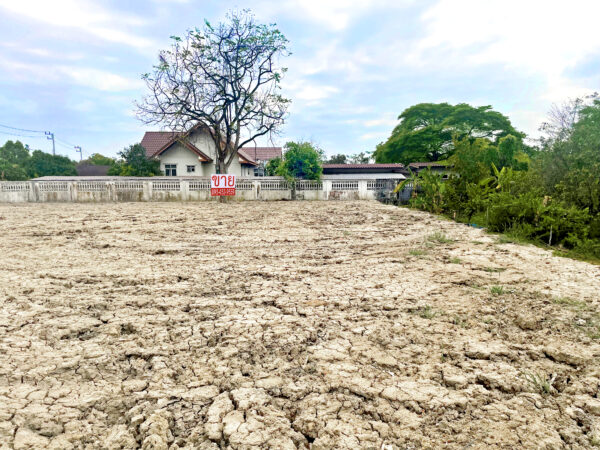 ขายที่ดินใกล้ธรรมศาสตร์ รังสิต ยกแปลง ถมแล้ว ติดถนน ใกล้ทางด่วน สามโคก ปทุมธานี (1-0-33.6 ไร่)