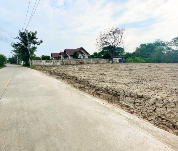 ขายที่ดินใกล้ธรรมศาสตร์ รังสิต ยกแปลง ถมแล้ว ติดถนน ใกล้ทางด่วน สามโคก ปทุมธานี (1-0-33.6 ไร่)