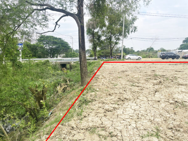 ขายที่ดินใกล้ธรรมศาสตร์ รังสิต ยกแปลง ถมแล้ว ติดถนน ใกล้ทางด่วน สามโคก ปทุมธานี (1-0-33.6 ไร่)