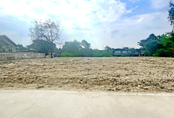 ขายที่ดินใกล้ธรรมศาสตร์ รังสิต ยกแปลง ถมแล้ว ติดถนน ใกล้ทางด่วน สามโคก ปทุมธานี (1-0-33.6 ไร่)