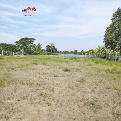 ขายที่ดินติดถนน เนื้อที่ 975 ตร.ว. (2ไร่ครึ่ง) อ.บางไทร จ.อยุธยา