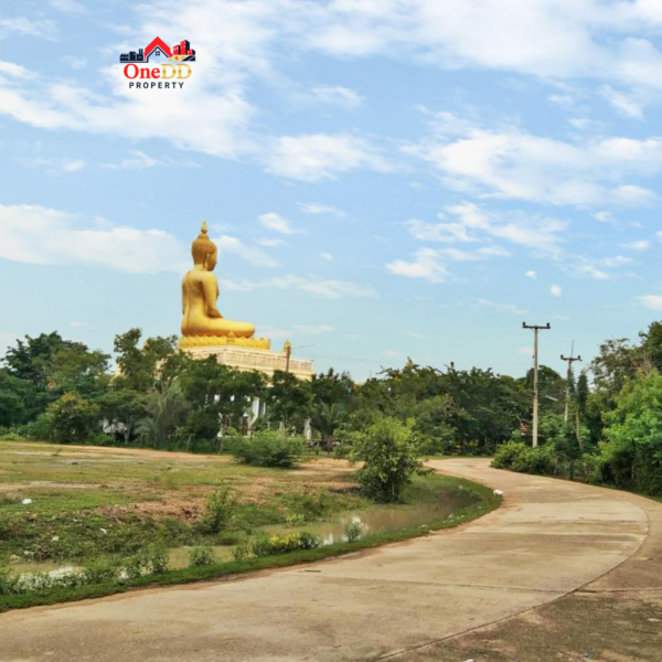 ขายที่ดินถมแล้ว 5 แปลง อ.เมืองเพชรบุรี จ.เพชรบุรี (เนื้อที่ 6-3-83 ไร่)