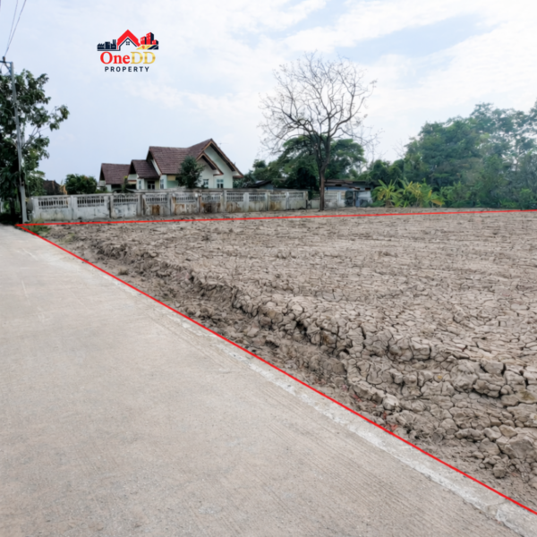 ขายที่ดินใกล้ธรรมศาสตร์ รังสิต ยกแปลง ถมแล้ว ติดถนน ใกล้ทางด่วน สามโคก ปทุมธานี (1-0-33.6 ไร่)