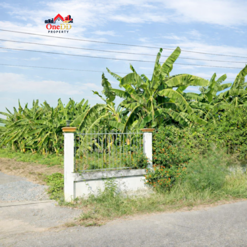 ที่ดินกำแพงแสน