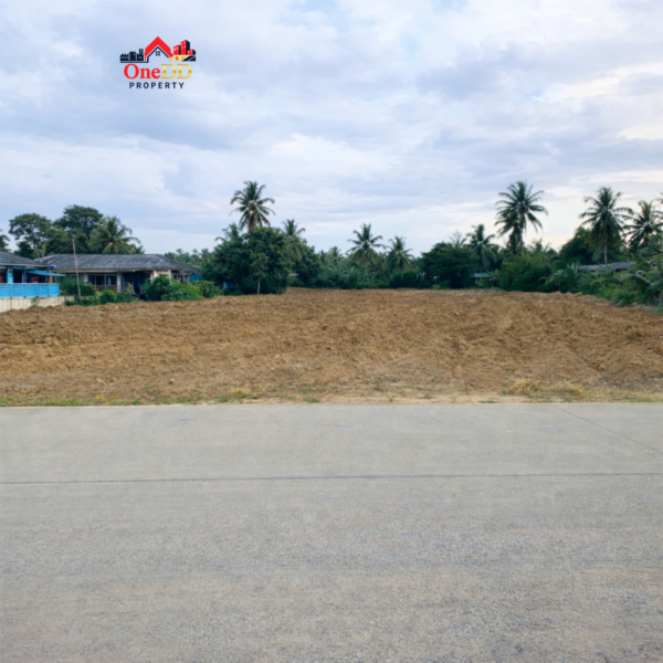 ที่ดินชลบุรี