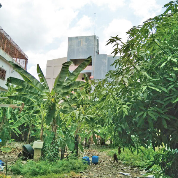 ขายอาคารพาณิชย์ 3 คูหา 3.5 ชั้น ถ.พระราม2 ซอย 69 แยก 5 (113 ตร.ว.)